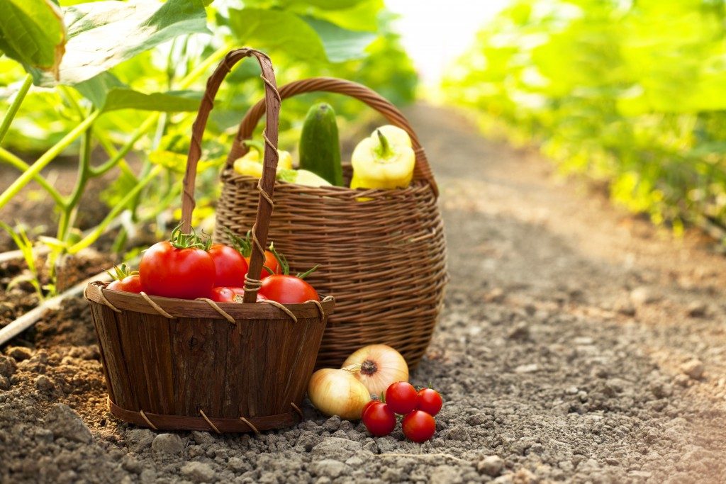 basket of fruits and vegetables