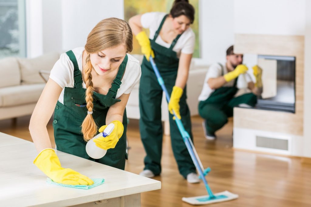 Professional cleaners wearing uniform