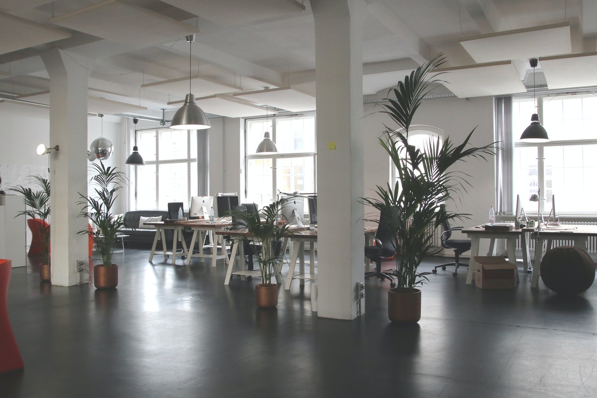 Multiple potted plants placed around an office area