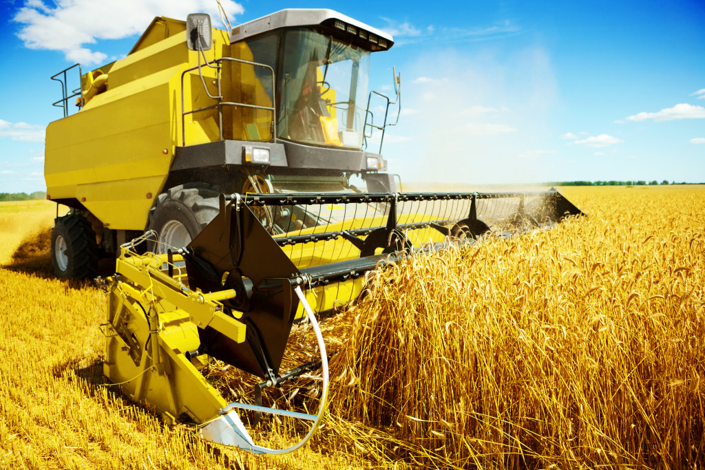 yellow harvester in a field of agriculture