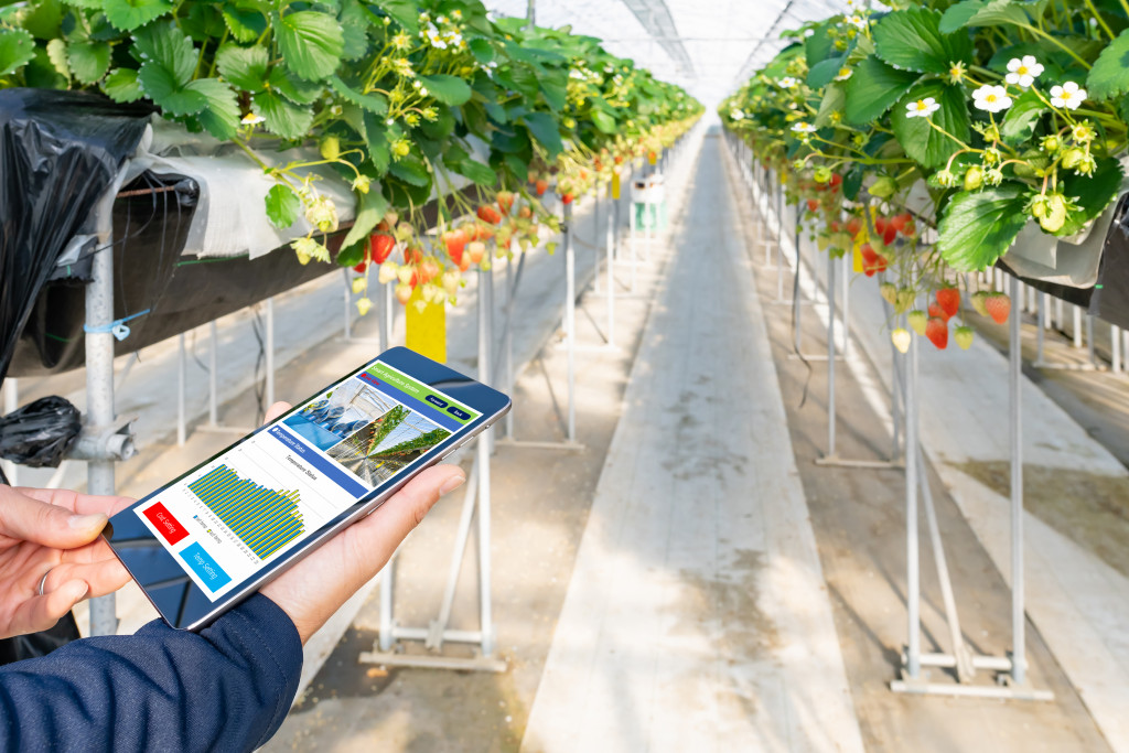 person using tablet to check temperature and other stats of a greenhouse